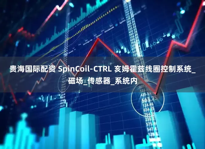 贵海国际配资 SpinCoil-CTRL 亥姆霍兹线圈控制系统_磁场_传感器_系统内