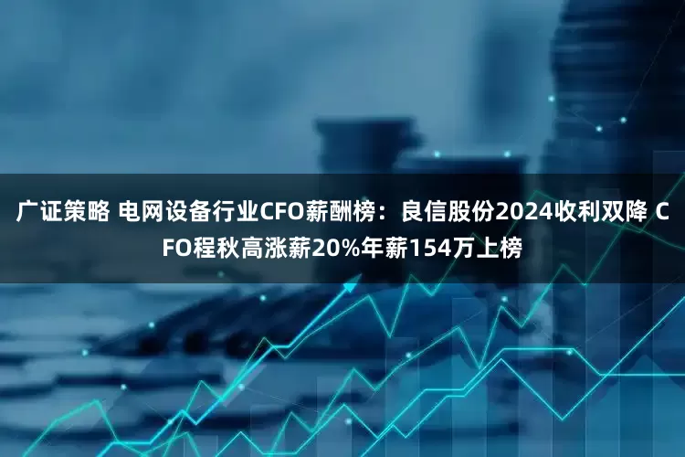 广证策略 电网设备行业CFO薪酬榜：良信股份2024收利双降 CFO程秋高涨薪20%年薪154万上榜