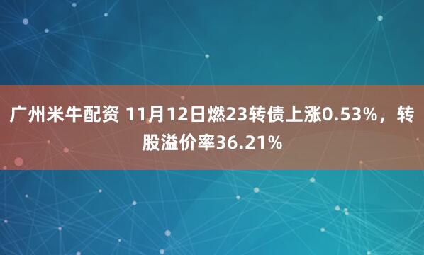 广州米牛配资 11月12日燃23转债上涨0.53%，转股溢价率36.21%